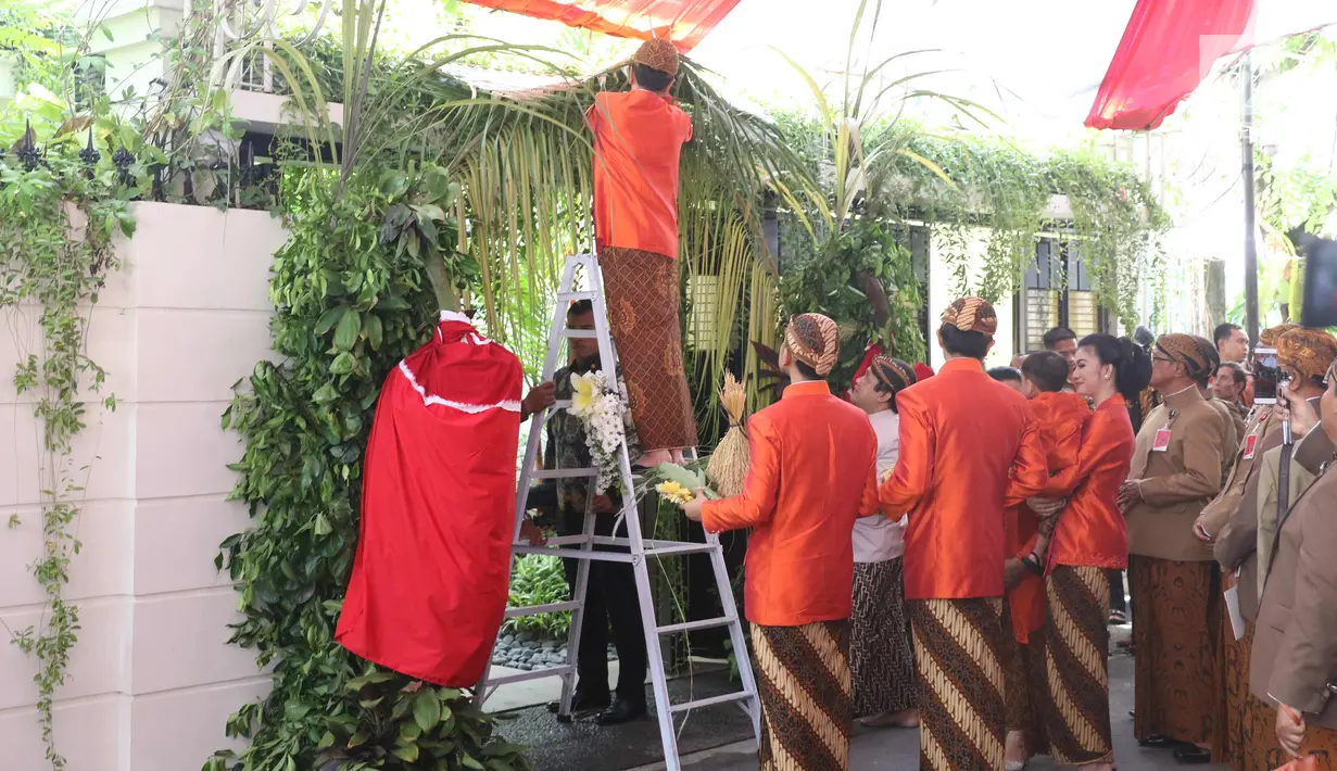 Presiden Jokowi didampingi Ibu Negara, Iriana dan Gibran Rakabuming serta Kaesang Pangarep melakukan pemasangan bleketepe pernikahan Kahiyang Ayu dan Bobby Nasution di kediamannya Jalan Kutai Utara, Solo, Selasa (7/11). (Liputan6.com/Angga Yuniar)