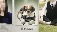 Seekor anak anjing masuk dalam buku tahunan sekolah sebagai staf administrasi.