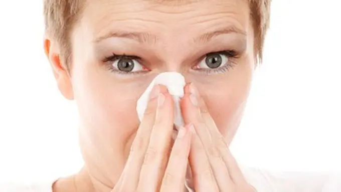 Copyright: pixabay.com