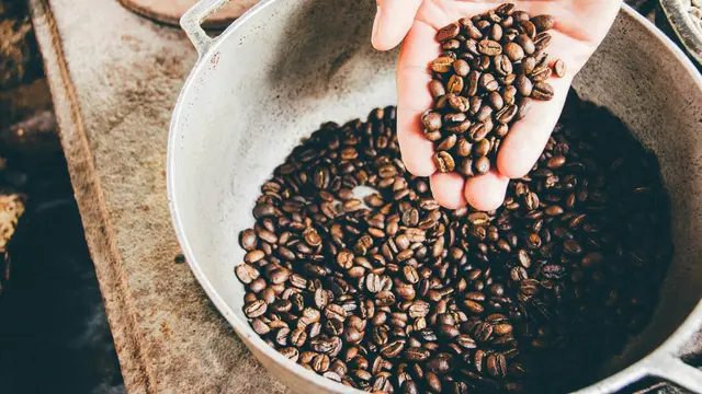 Ilustrasi Biji Kopi