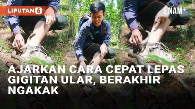 VIDEO: Pria Ini Ajarkan Cara Cepat Melepas Gigitan Ular, Berakhir Ngakak