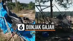 Insiden mengerikan terjadi saat para penebang kayu tengah tidur di hutan Chachoengsao, Thailand. Kawanan gajah liar mengamuk dan menyerang salah satu pekerja dengan cara menginjak-nginjaknya. Sedangkan pekerja lainnya berhasil menyelamatkan diri.