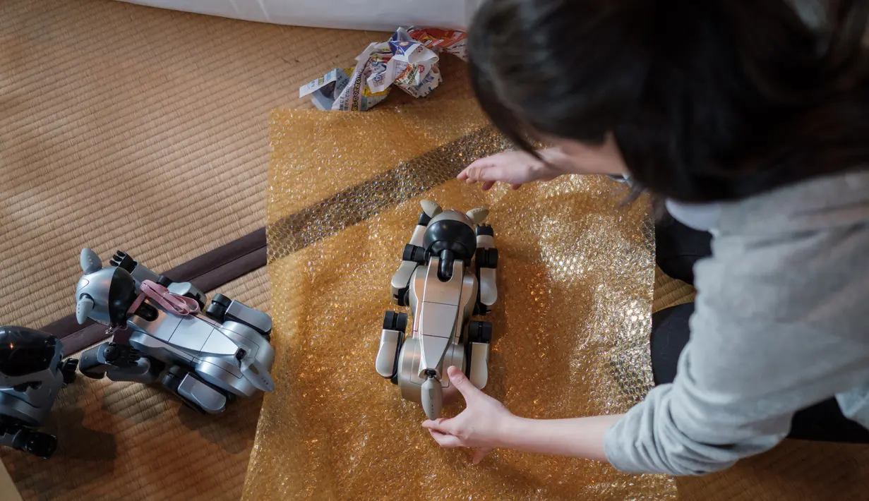 Seorang wanita membungkus robot peliharaan Sony AIBO setelah upacara pemakaman robot di Kuil Kofuku-ji, Jepang Kamis (26/4). AIBO pertama kali diluncurkan pada tahun 1999 dan sampai saat ini telah terjual lebih dari 150,000 unit. (AFP/Nicolas Datiche)