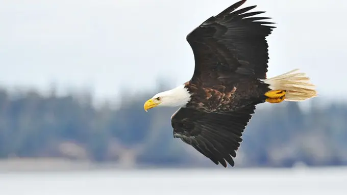 Courtesy ShutterStock.com