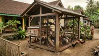 Rangka Kandang Ayam dari Kayu dan Besi Kombinasi Kuat, Estetis, dan Tahan Lama