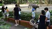 Pengunjung melihat binatang di kandang mereka pada hari pertama pembukaan Kebun Binatang Singapura untuk umum di Singapura, Senin (6/7/2020). Kebun binatang yang hampir tiga bulan ditutup akibat pandemi virus corona ini dibuka kembali dengan penerapan protokol kesehatan. (Roslan RAHMAN/AFP)