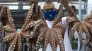 Pemilik restoran mengenakan masker menjemur gurita di Pulau Poros,  Yunani (7/8/2020). Terus bertambahnya jumlah kasus terkonfirmasi coronavirus di beberapa wilayah Yunani memaksa pihak berwenang memberlakukan jam malam pertama selama musim pariwisata di Pulau Poros. (Xinhua/Marios Lolos)