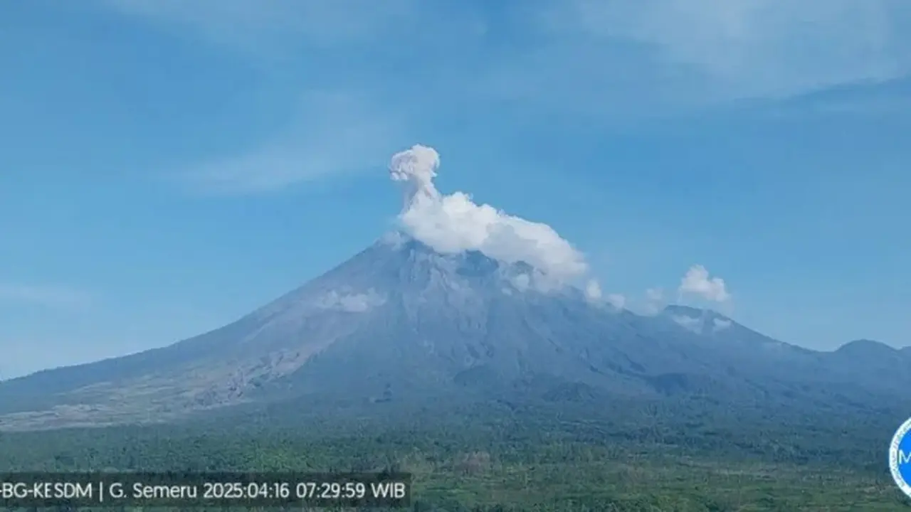 Gunung Semeru erupsi lagi tinggi letusan capai 1.000 meter (Istimewa)