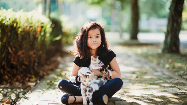 4 Perawatan Harian untuk Kucing Kesayangan, Biar Si Kecil Berbulu Tetap Cantik Menawan
