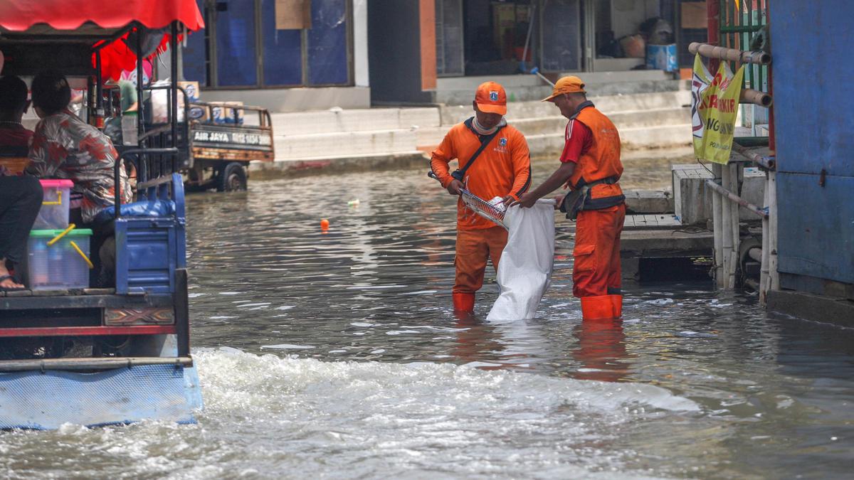 6 Kota yang Diprediksi Akan Tenggelam, Ada Jakarta di Tahun 2050