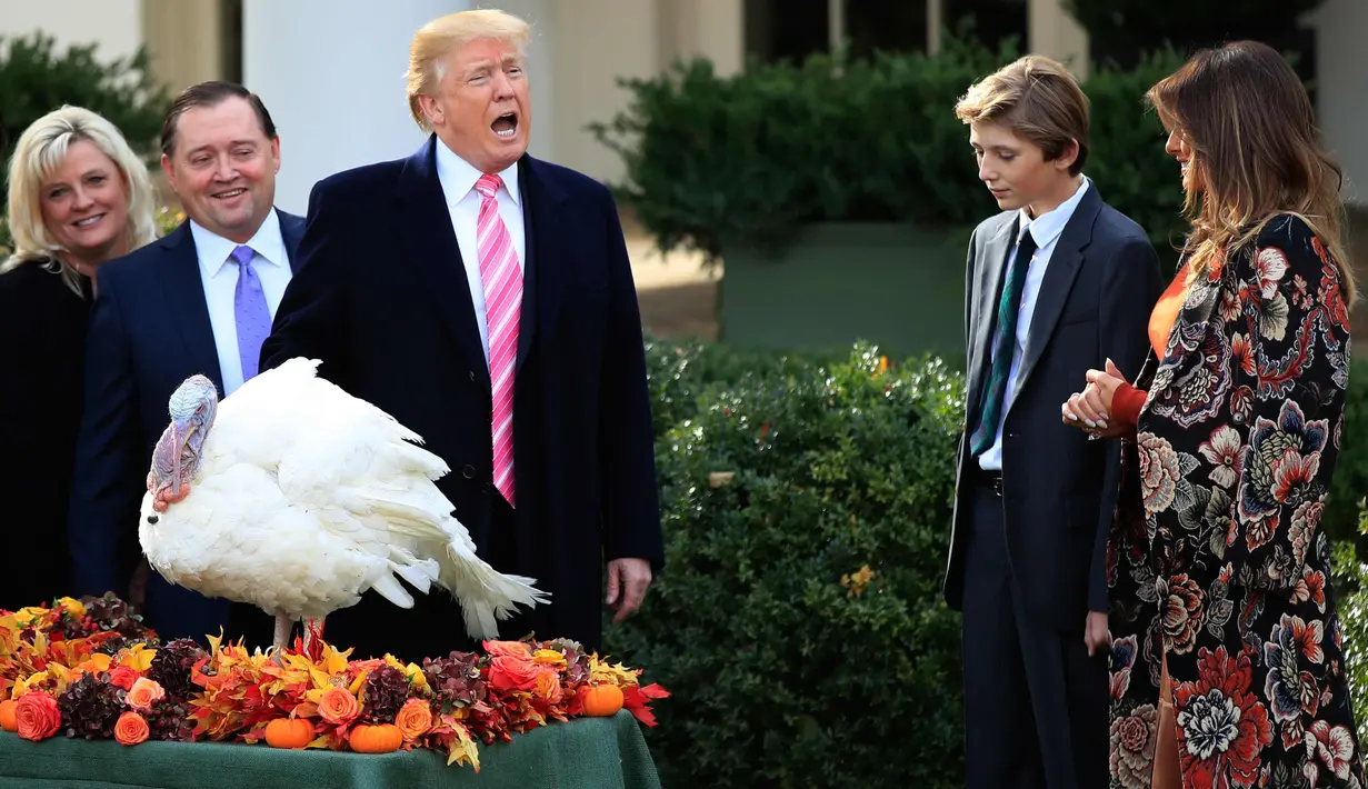 Presiden AS, Donald Trump bersama Ibu Negara Melania Trump dan putra Barron berpartisipasi dalam upacara pengampunan kalkun di Hari Thanksgiving yang ke 70 tahun di Taman Mawar Gedung Putih di Washington, AS, (21/11). (AP Photo / Manuel Balce Ceneta)