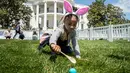 Chloebella Frazier, 4, mengikuti lomba menggelindingkan telur paskah ke-141 di halaman Gedung Putih, Washington, Senin (22/4). Acara tahunan tersebut merupakan bagian dari rangkaian memperingati Paskah yang rutin diselenggarakan di South Lawn Gedung Putih. (AP/Andrew Harnik)