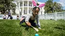 Chloebella Frazier, 4, mengikuti lomba menggelindingkan telur paskah ke-141 di halaman Gedung Putih, Washington, Senin (22/4). Acara tahunan tersebut merupakan bagian dari rangkaian memperingati Paskah yang rutin diselenggarakan di South Lawn Gedung Putih. (AP/Andrew Harnik)