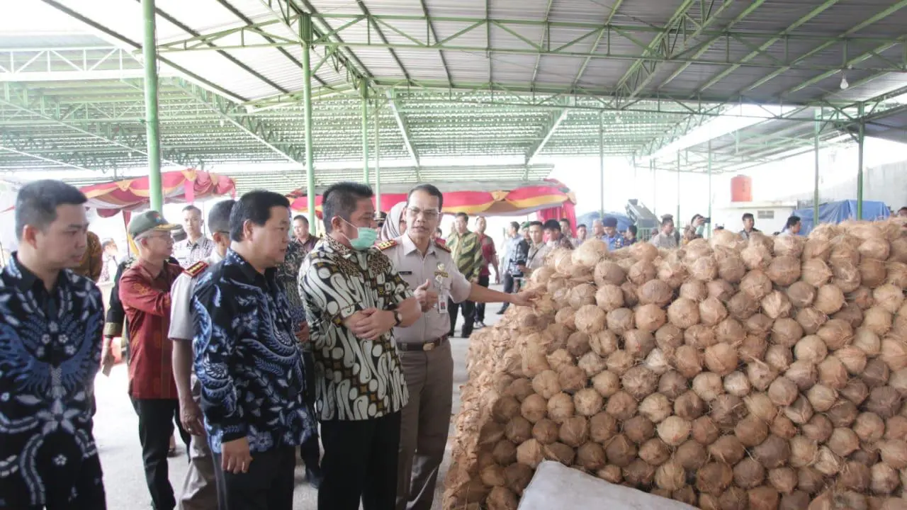 Ekspor Kelapa Sumsel Masih Aman Meski Sempat Ditolak di Thailand