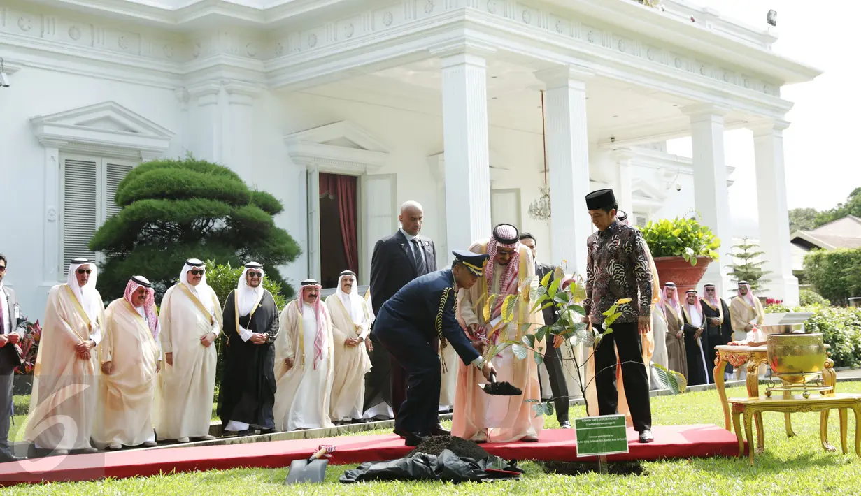 Suasana prosesi penanaman pohon yang dilakukan oleh Raja Salman di halaman tengah halaman tengah Istana Merdeka, Jakarta, Kamis (2/3). (Liputan6.com/Angga Yuniar)