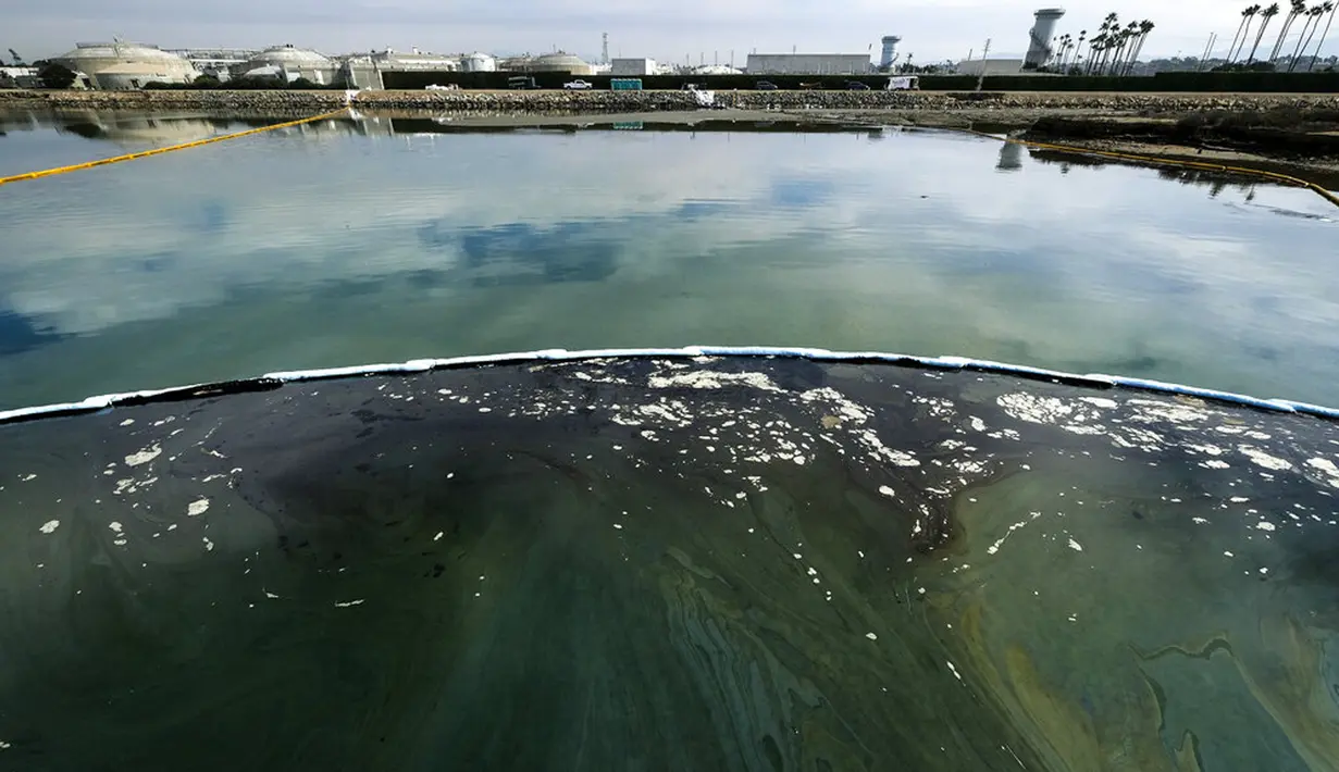 Foto udara menunjukkan penghalang dibuat untuk mencoba menghentikan tumpahan minyak ke Wetlands Talbert Marsh di Huntington Beach, California, Amerika Serikat, 4 Oktober 2021. Tumpahan minyak menyebabkan ikan dan burung mati berserakan. (AP Photo/Ringo H.W. Chiu)