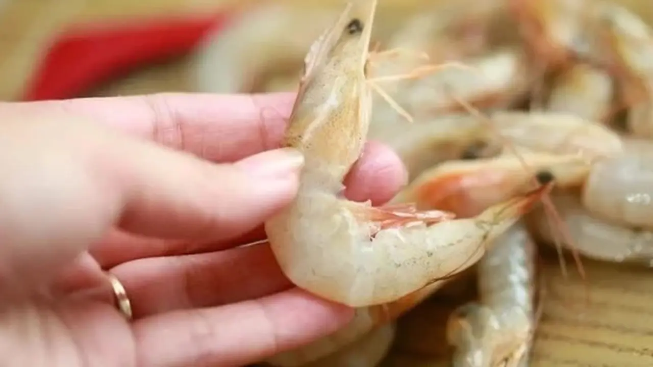Luka Tertusuk Udang Mentah Terinfeksi Bakteri Pemakan Daging, Pria Ini Kehilangan Jarinya