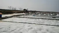 Cerita Miris Petani Garam