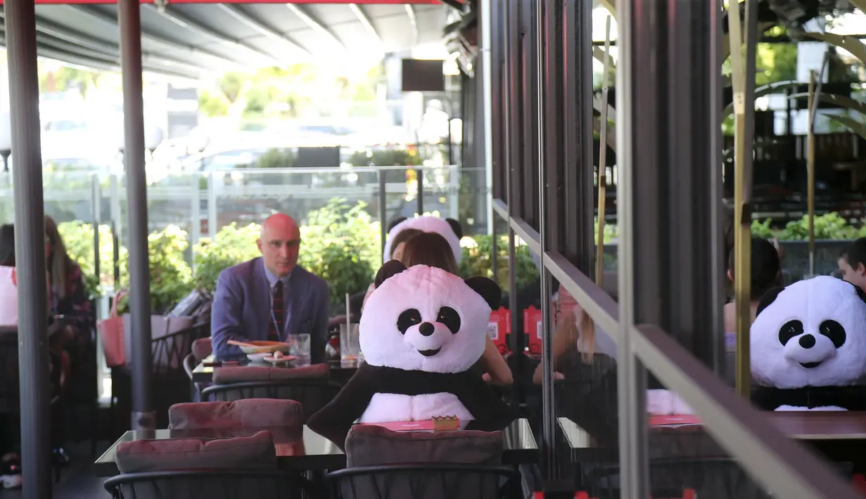 Boneka panda digunakan untuk membantu para pelanggan mempraktikkan jaga jarak sosial saat makan di sebuah restoran di Ankara, Turki (1/7/2020). Kasus COVID-19 di Turki bertambah 1.192 pada Rabu (1/7), sehingga total kasus terkonfirmasi menjadi 201.098. (Xinhua/Mustafa Kaya)
