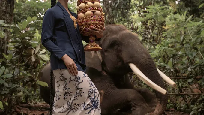 Ilustrasi potret Maudy Koesnaedi/menggah agung Gianyar, Bali