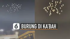 Viral datang dari Makkah, ada burung-burung yang sedang mengelilingi ka'bah. Uniknya kawanan burung-burung ini berwarna putih dan membentuk formasi yang rapi.