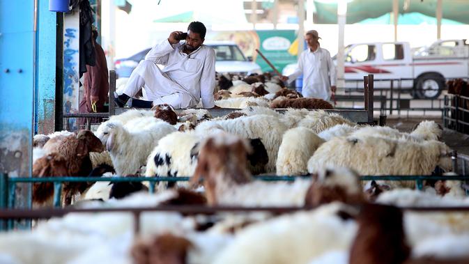 Pedagang menunggu pembeli hewan kurban menjelang Idul Adha di sebuah pasar ternak di Kuwait pada 5 Agustus 2019. Umat Islam di seluruh dunia akan merayakan Idul Adha yang identik dengan tradisi berkurban dengan hewan seperti kambing, domba, unta, sapi dan kerbau. (Yasser Al-Zayyat/AFP)