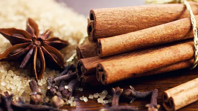 Copyright by Shutterstock.com