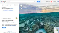 Google StreetView Ocean