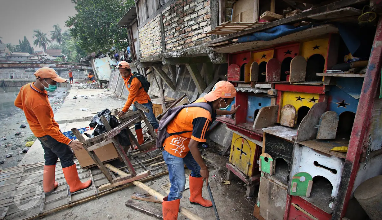 Petugas menghancurkan kandang burung merpati saat penertiban unggas di bantaran Kali Ciliwung, Senen, Jakarta, Rabu (18/11). Penertiban dilakukan untuk mencegah penyebaran virus flu burung. (Liputan6.com/Immanuel Antonius)