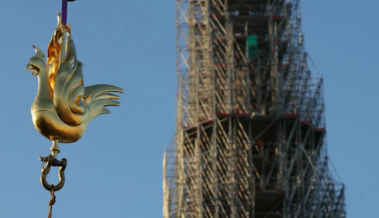 Replika ayam jantan emas diangkat dengan derek ke puncak menara katedral Notre Dame sebagai bagian dari pekerjaan restorasi di Paris, Sabtu (16/12/2023). (Thomas SAMSON / AFP)