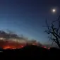Ilustrasi kebakaran hutan di Australia (AP Photo)