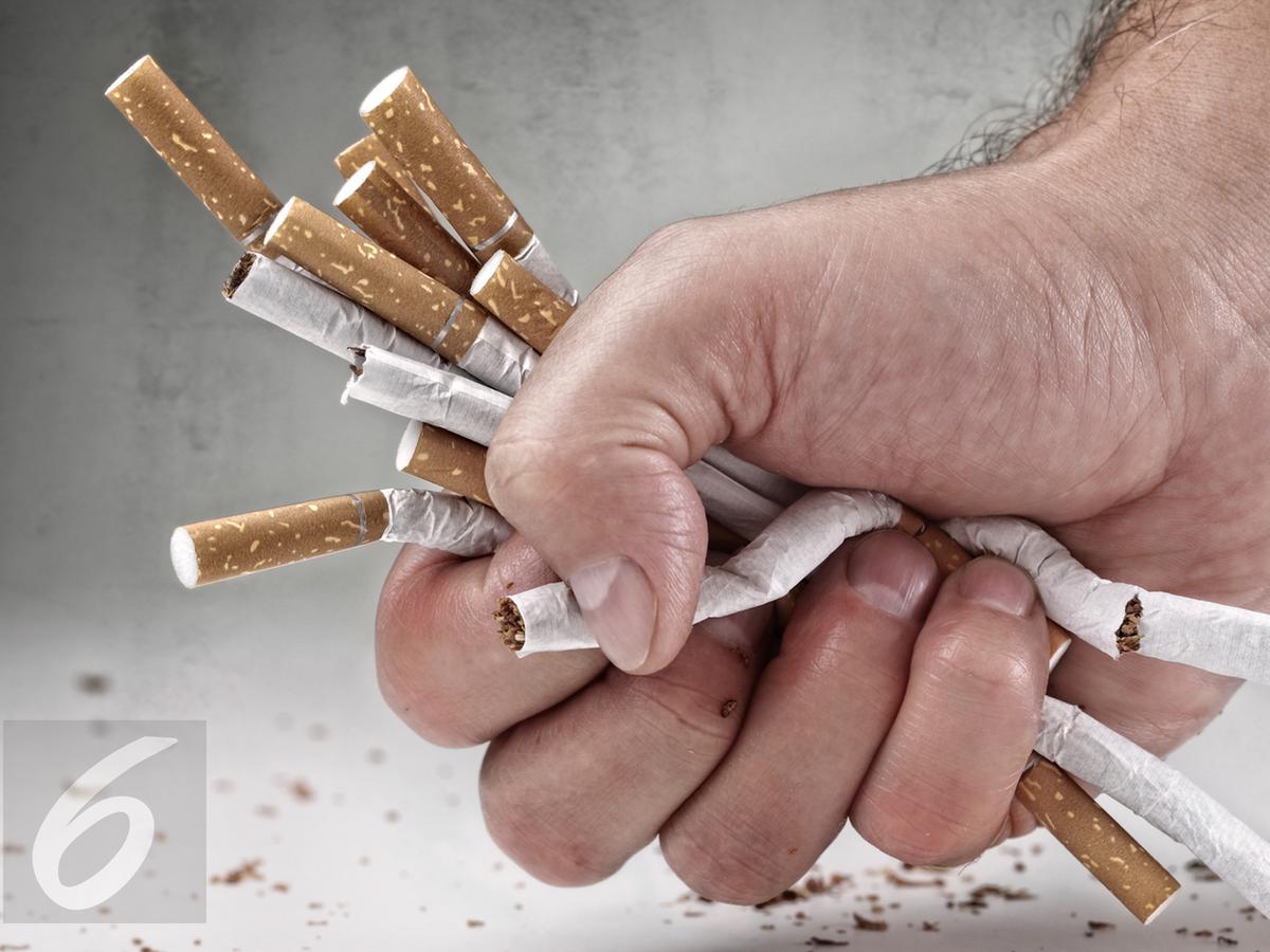 Nikotin merupakan zat berbahaya yang sanggup ditemukan pada....