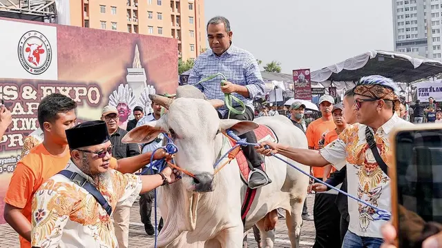 Sekretaris Jenderal Gerindra Ahmad Muzani