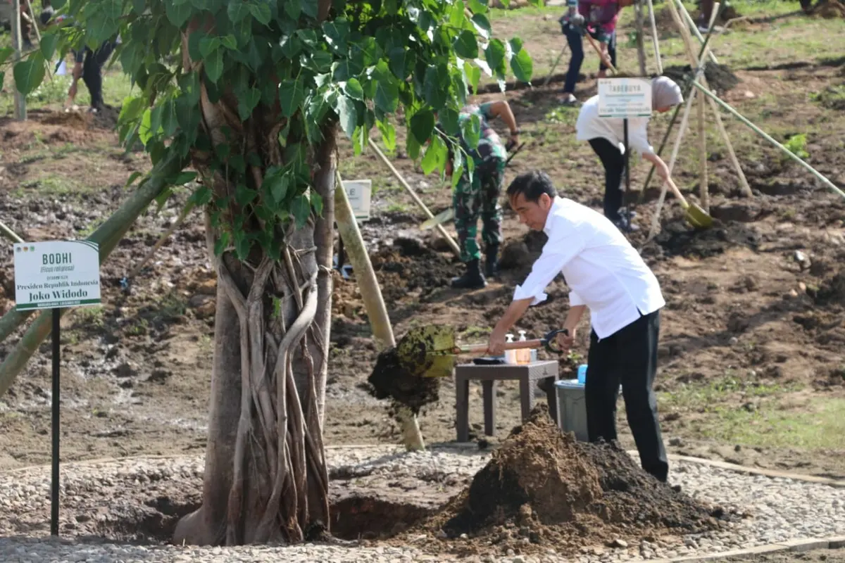 Tanam Cendana di NTT, Jokowi: Tanaman Endemik Harus Dilindungi