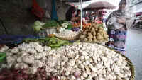 Impor Bawang Putih Dihentikan dalam 5 Tahun, NTB Siap Jadi Pusat Benih Nasional