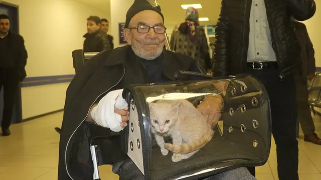 Pria Tua Peluk Kucing Setelah Selamat Dari Insiden Kebakaran