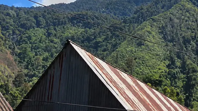 Kebakaran Hutan Gunung Latimojong.