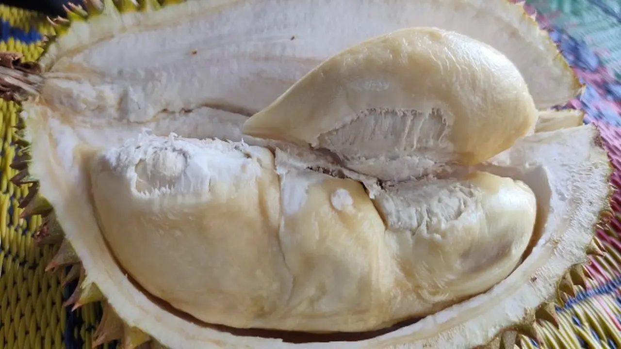 Manis Lezat Durian Sinapeul di Kampung Durian Majalengka