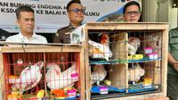 Burung kaktua maluku dan kakatua jambul kuning yang dikirimkan BBKSDA Riau ke Maluku untuk dilepasliarkan. (Liputan6.com/M Syukur)