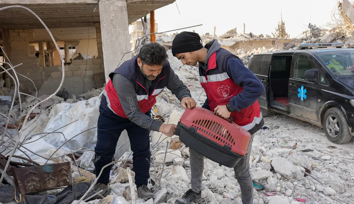 Relawan Mohammed Alaa al-Jalil (kiri) dan rekannya menyelamatkan seekor kucing yang mereka temukan di reruntuhan bangunan yang hancur akibat gempa di Jindayris, di provinsi Aleppo, Suriah yang dikuasai pemberontak  pada 24 Februari 2023. Gempa berkekuatan 7,8 melanda Suriah dan Turki pada 6 Februari. (AFP/Rami al Sayed)