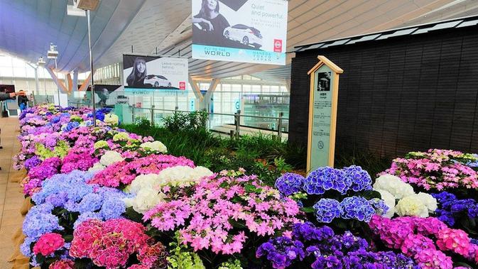 7 bandara istimewa ini membuat pengunjung tak lagi merasa bosan saat menunggu jadwal penerbangan yang sedang di delay.