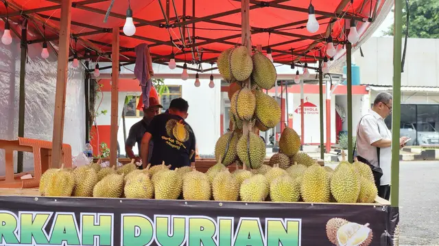 Musim Durian Tiba, Yuk Cari Tahu tentang Buah Berduri yang Memiliki Aroma Sangat Kuat Ini (Foto Buah Durian/Aditya Eka Prawira/Liputan6.com)