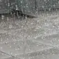 Ilustrasi hujan es. (therealgist.com)