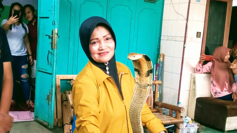Iin Ayu (55) bersama satu di antara ular King Kobra peliharaannya di rumahnya di Kelurahan Karangpucung, Kecamatan Purwokerto Selatan, Kabupaten Banyumas, Selasa (17/12/2019). (Liputan6.com/Rudal Afgani Dirgantara)