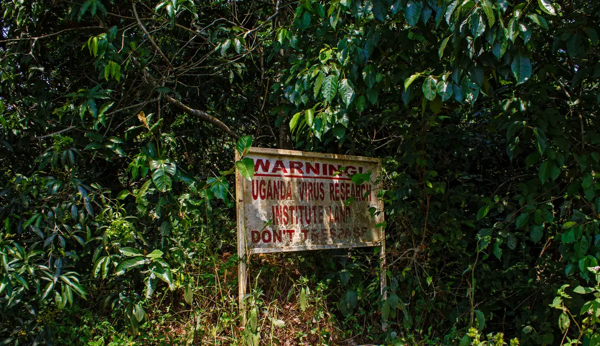 Sebuah tanda peringatan bahaya memasuki hutan Zika di Uganda, 29 Januari 2016. Hutan ini merupakan lokasi pertama kali ditemukannya virus Zika pada April 1947 setelah pengujian menggunakan monyet-monyet oleh ilmuwan. (ISAAC KASAMANI/AFP)