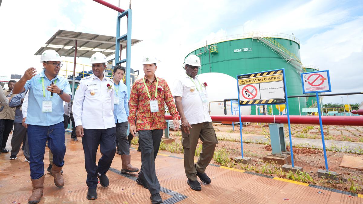 Perdana, Papua Punya Pembangkit Listrik dari Limbah Sawit