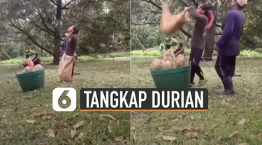 Warganet dibuat deg-degan lantaran caranya menangkap durian yang dijatuhkan.