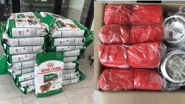 Jin menyumbang untuk anjing terlantar. (Sumber: Soompi)