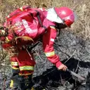 1,6 Hektare Vegetasi Rinjani Terbakar
