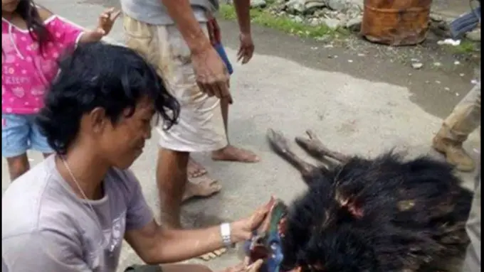 Pembunuh Satwa Liar Kembali Berulah, Netizen Semakin Geram